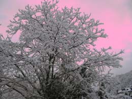 foto neve del 21 Febbraio 2005